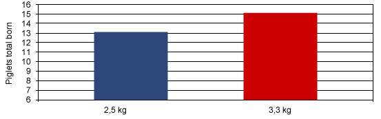 Effect of feeding level in the first 30 days after insemination in primiparous sows on subsequent litter size (after Hoving et al. 2010).