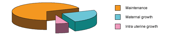 Energy requirements in gestation for maintenance, maternal growth and intra uterine growth.