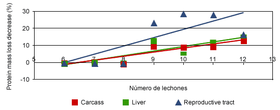 Protein mass loss during lactation in carcass, liver and reproductive tract (after Kim et al. 2001).