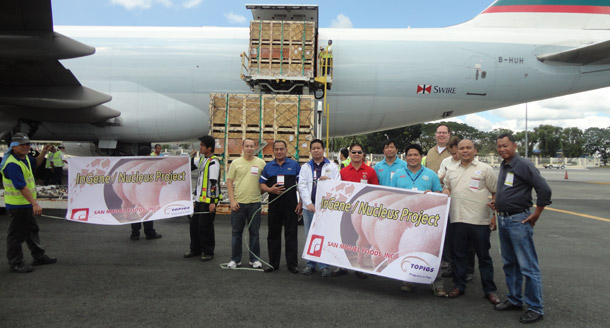 TOPIGS Philippines imports top genetics for San Miguel Foods, Inc.