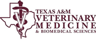 Texas A&M University