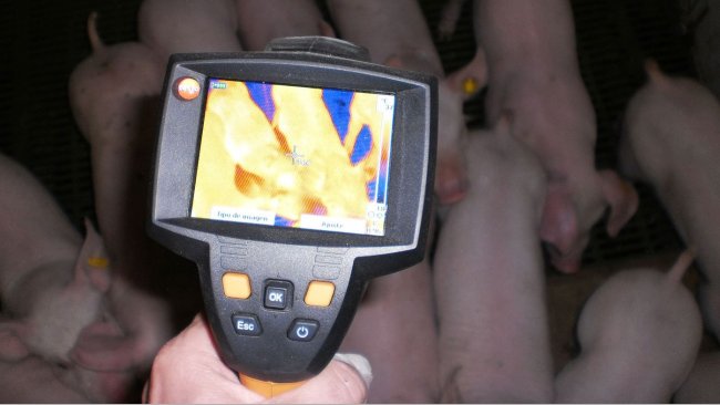 Thermographic cam