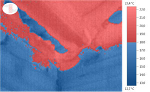 Thermographic image (scale with limit values) of the façade and of the internal ceiling in the weaner pigs unit (winter).