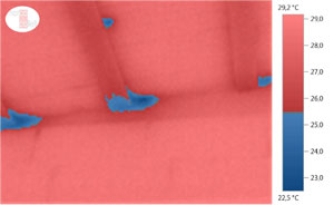 Thermographic image (scale with limit values) of the façade and of the internal ceiling in the weaner pigs unit (winter).