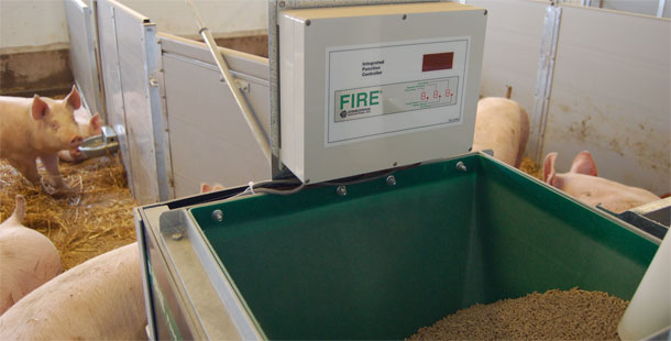 Feed Intake Recording Equipment (FIRE) feeders
