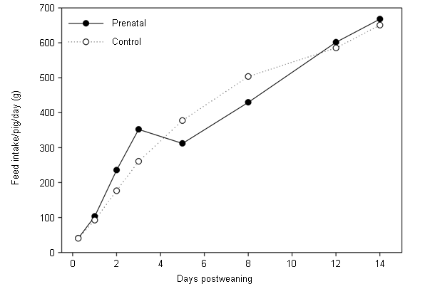 Postweaning feed intake