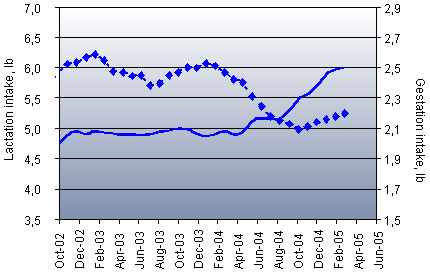 Change in lactation feed intake after reducing dry sow feed allowance following stricter feeding program: six month rolling average