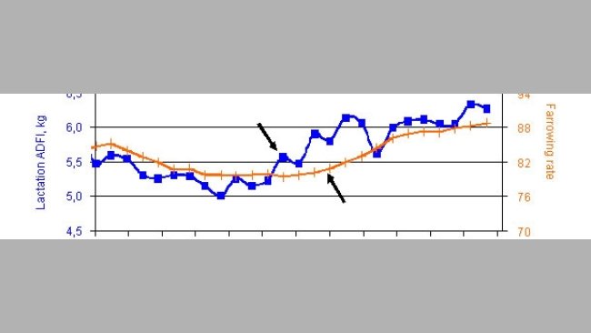 Sow feeding management during lactation (2/2): Management of feeding during lactation