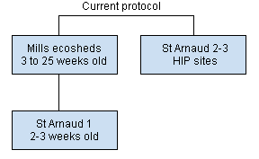 Gilt acclimation protocol