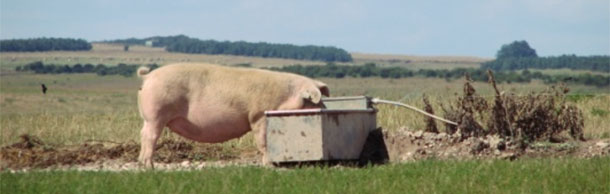 Outdoor eco-shed farm