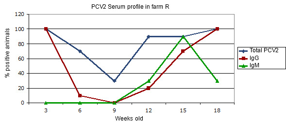 Transversal serum profile in a farm affected by a clinical circovirus infection in the absence of vaccination.