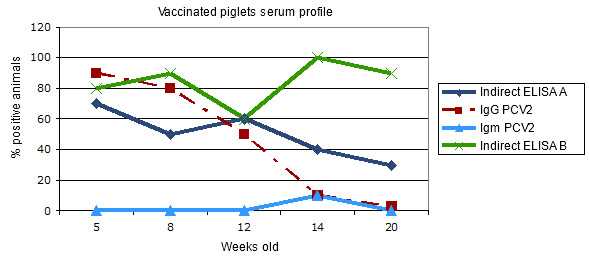 Transversal serum profile in piglets vaccinated against PCV2 when weaned: comparative response in two indirect ELISA assays for total antibodies.