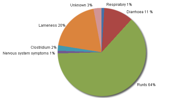 Distribution of the % of losses, according to their cause, in the weaners stage of the farms without diarrhoea problems.