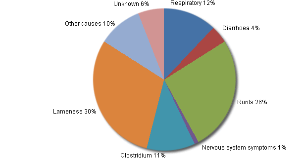 Distribution of the % of the losses, according to their cause, in the fattening stage of the farms without diarrhorea problems.
