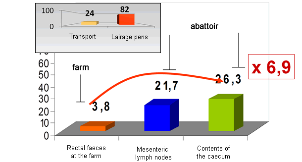 Results of the monitoring study from the farm to the abattoir.