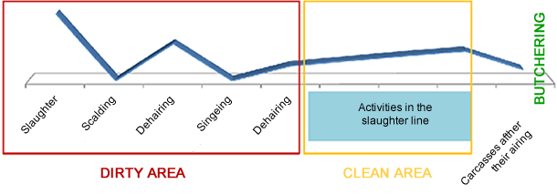 Evolution of the prevalence in the carcasses during their slaughter operations.