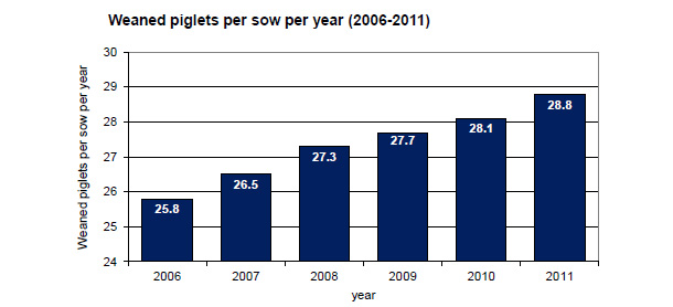 TOPIGS sows: 28.8 weaned piglets per year