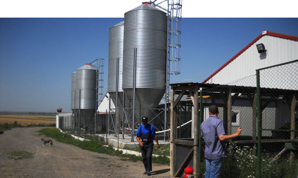 Figure 1. Typical new-build Eastern Europe weaner sheds in open arable areas.