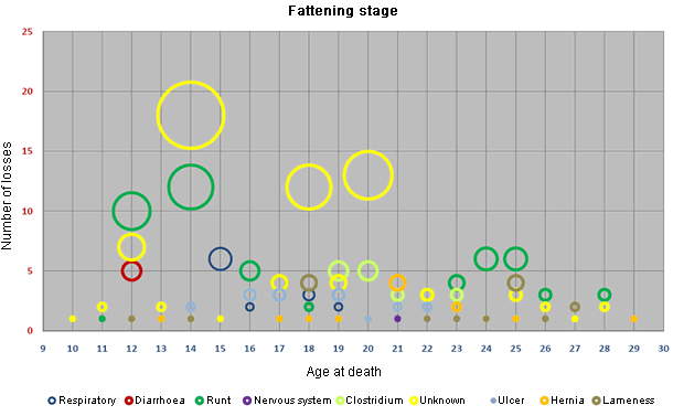 Distribution of the losses according to the age and the cause in the fattening stage of farms without diarrhoea problems