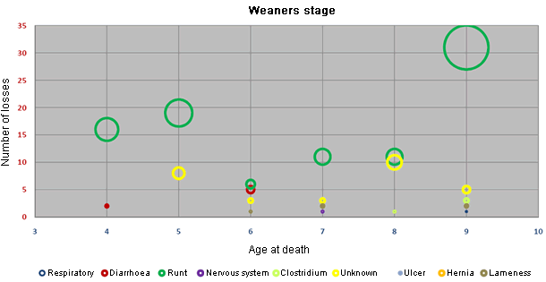 Distribution of the losses according to the age and the cause in the weaners stage in the group of farms without diarrhoea problems