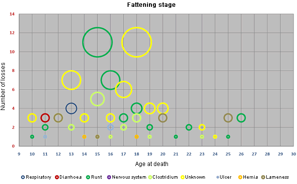 istribution of the losses according to the age and the cause in the fattening stage of farms with diarrhoea problems.