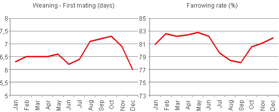  Variations in the interval from the weaning to the first mating and in the percentage of births resulting from the matings according to the month, year 2008