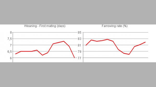  Variations in the interval from the weaning to the first mating and in the percentage of births resulting from the matings according to the month, year 2008