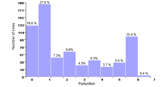 Census structure on December 31st 2006 (668 productive sows; average: 3.08 parturitions)