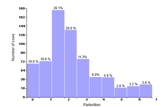 Census structure on December 31st 2007 (679 productive sows; average: 3.16 parturitions)