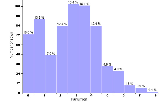 Census structure on December 31st 2008 (676 productive sows; average: 3.74 parturitions)