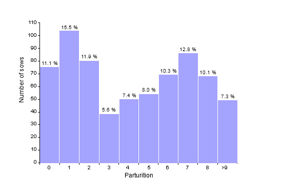 Census structure on December 31st 2009 (673 productive sows; average: 4.28 parturitions)