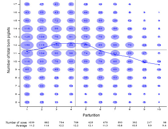 Number of total born piglets according to the parturition number; period January 2006-December 2009