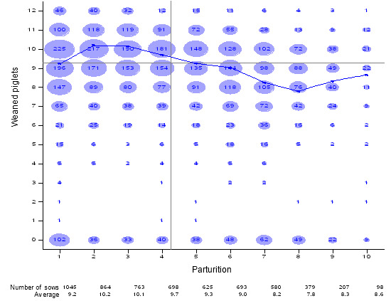 Piglets weaned/sow according to the parturition number; period: January 206-December 2009