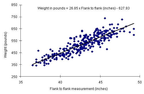 Relationship between the measurement from one flank to the other one and the body weight of the sow