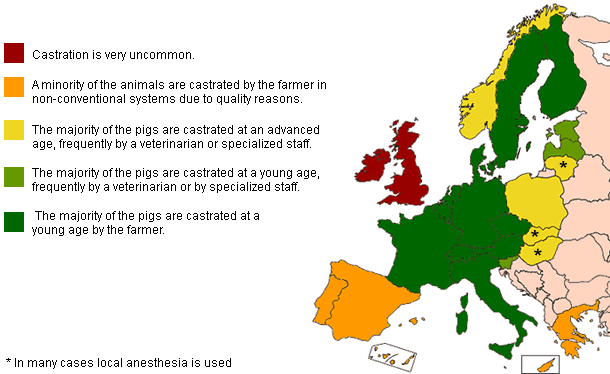 Map of the regional variations with regard to the castration of piglets in Europe