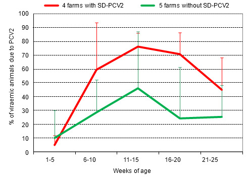 % of viraemic animals due to PCV2