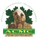 ACMC Ltd