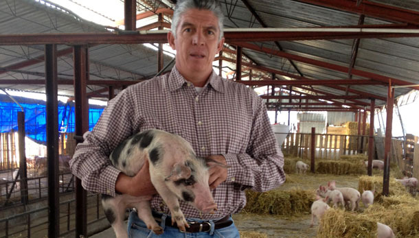 Angel Francos-Tapia, who will be importing semen to improve the quality of slaughter pigs in Mexico
