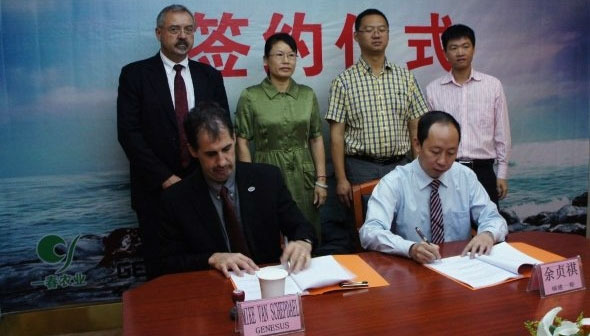 Genesus’ Mike Van Schepdael and Fujian Yichan’s President Yu ZHENQI, signing the new agreement. In the back row Ron Lane, Genesus China, Ms. Xingyu LIAO, Vice Chairman Yanping District of Nanping Prefecture, Mr. Xuhui HUANG the vice governor of Yanping District, Mr. Hui ZHANG the Party Secretary General for Laizhou (where the new nucleus farm is exactly located) in Nanping Prefecture.