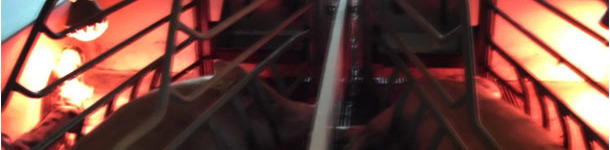 If the heat lamp bothers them, the sows normally lay turning their back to it.