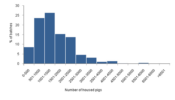 Distribution of the number of housed pigs per batch in the growing and fattening stages.