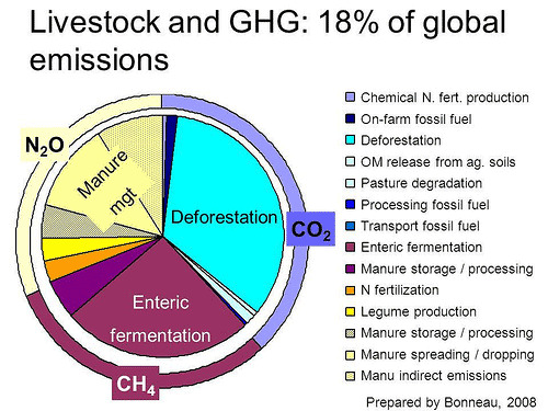 Livestock and GHG