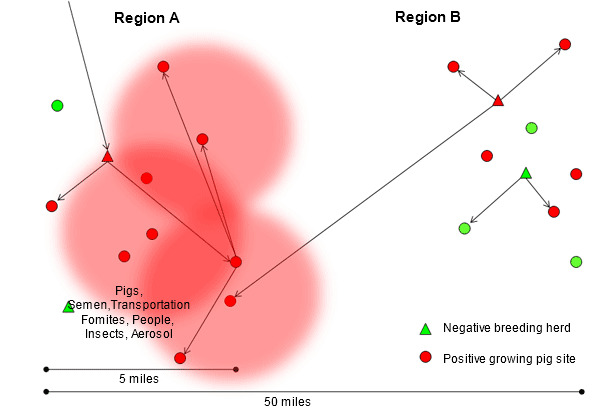 Dissemination of the new PRRS virus isolate through region A