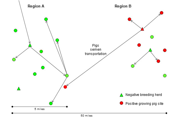 Introduction of a new PRRS virus isolate from region B to region A