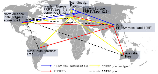 PRRS virus global distribution and hypothetical intercontinental transmission