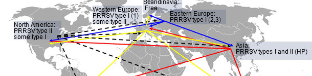 PRRS virus global distribution and hypothetical intercontinental transmission