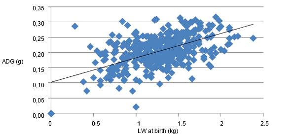 Relationship between the LW at birth and the subsequent growth