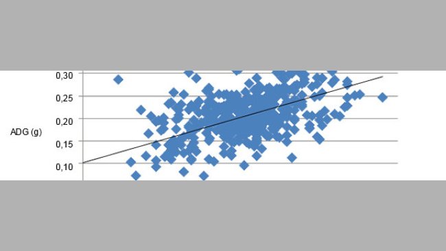 Relationship between the LW at birth and the subsequent growth