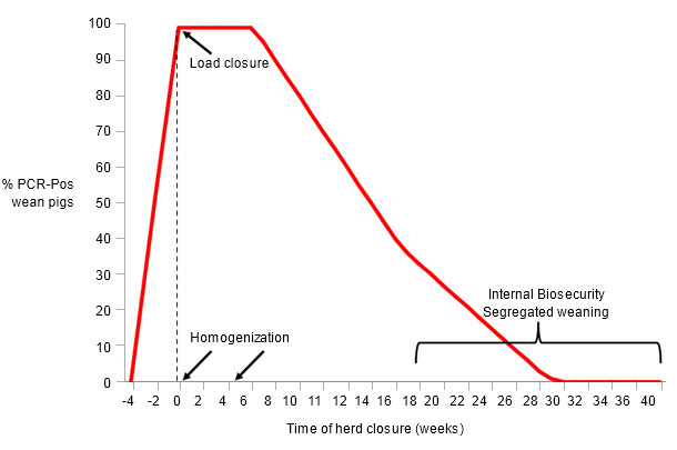 Example of procedures and wean-pig PRRSV detection during herd closure