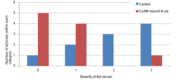 Distribution of the severity of the cartilage lesions (scale from 0 to 3) in animals pertaining to the control group or in animals that consume a diet with Cu/Mn bound to amino acids.